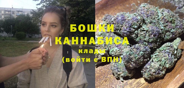 ГАЛЛЮЦИНОГЕННЫЕ ГРИБЫ Бронницы
