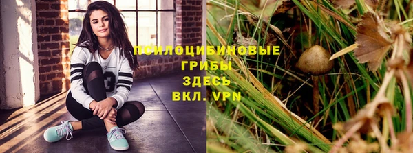 ГАЛЛЮЦИНОГЕННЫЕ ГРИБЫ Бронницы